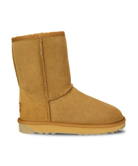 UGG Premium Classic Short - Women - UGG Specialist Australia